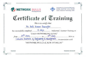 Network Bulls